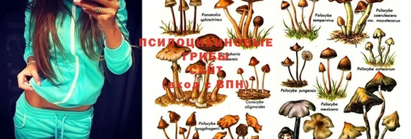марки nbome Карталы
